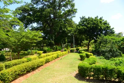 DSC_9087 (Large).JPG